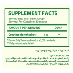 ⁦اورجانيك نيشن كرياتين | organic nation creatine⁩ - الصورة ⁦3⁩