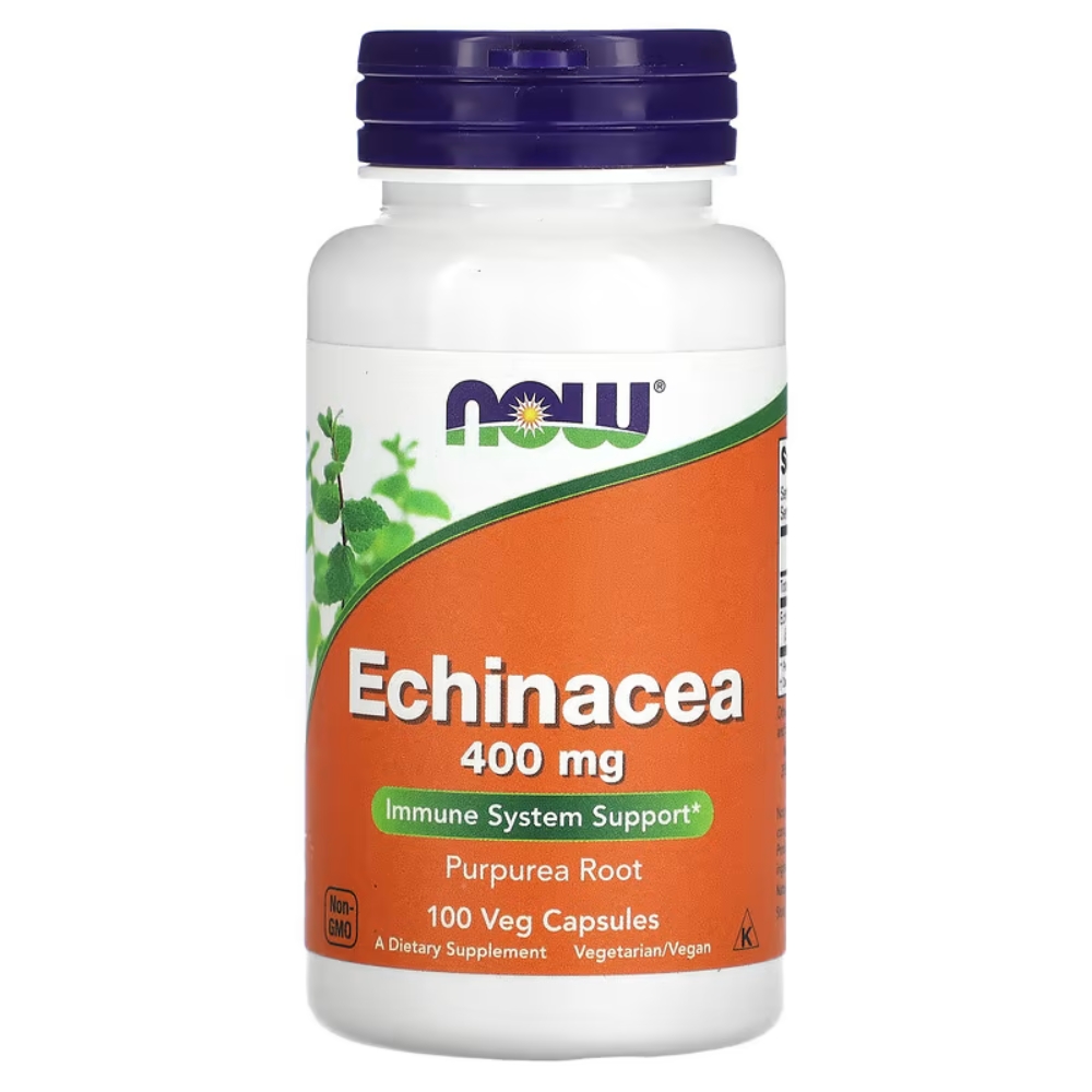 ناو اكناسيا - now echinacea 400mg 100 cap