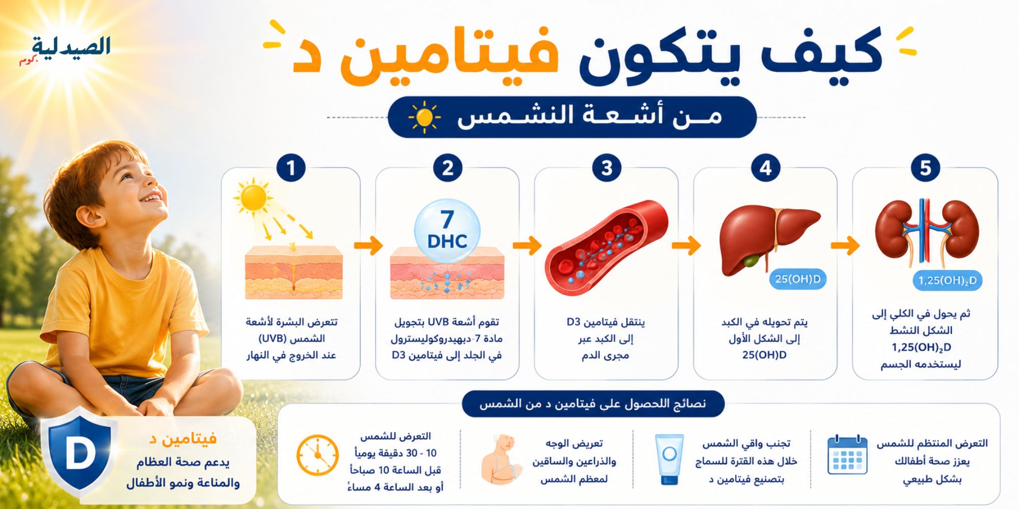 كيف يتكون فيتامين د من أشعة الشمس - احتياج الاطفال من فيتامين د