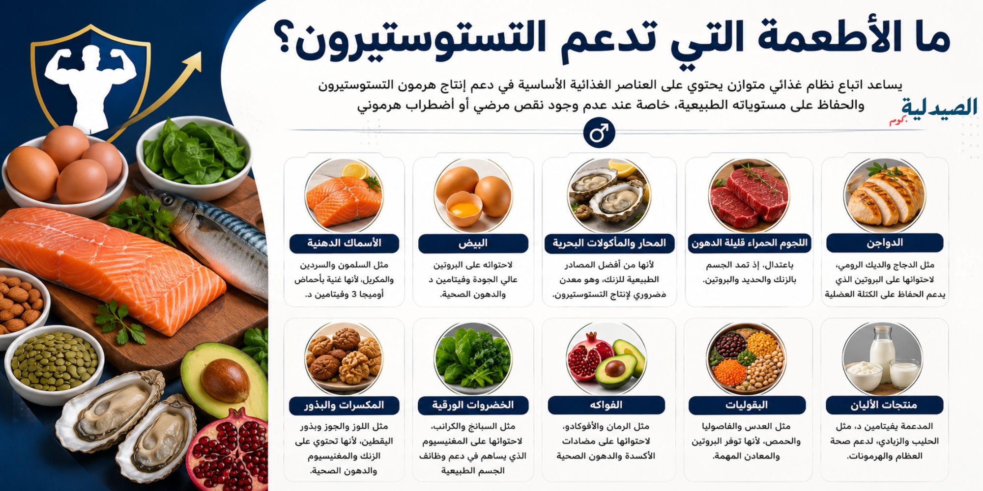 ما الأطعمة التي تدعم التستوستيرون؟