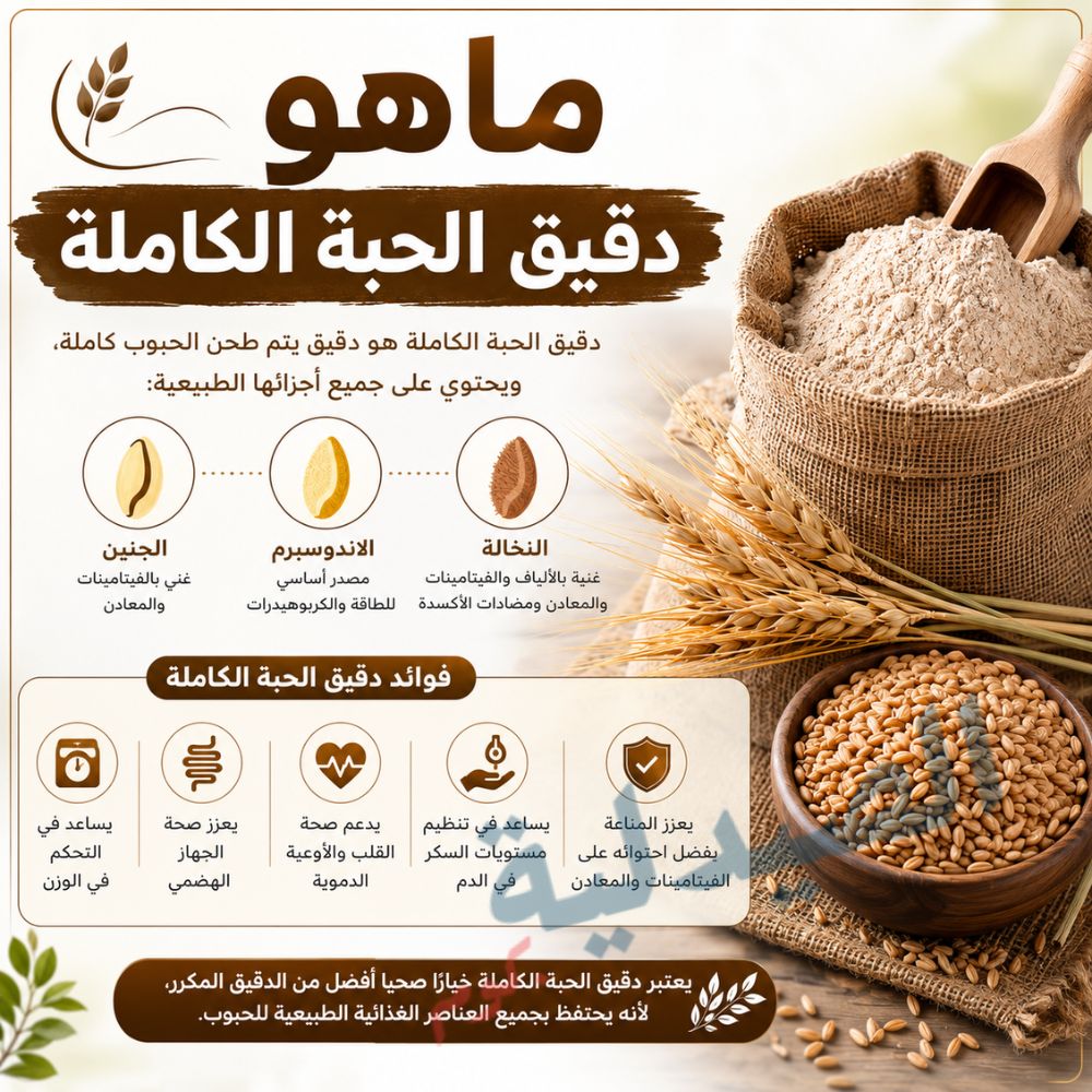 ماهو دقيق الحبة الكاملة - ما هو دقيق الحبوب الكاملة- دقيق الحبة الكاملة - ماهو دقيق القمح الكامل
